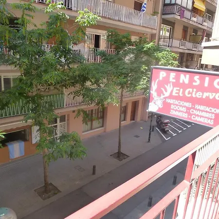 Pensión El Ciervo *